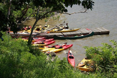 A variety of colorful kayaks are lined up by a dock on a river, surrounded by lush greenery.