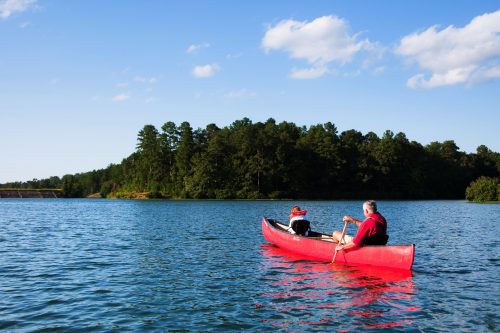 Two people paddle a red canoe on a calm lake surrounded by trees under a clear blue sky.