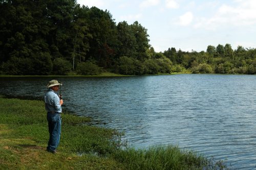 A person fishing by a calm lake surrounded by trees and greenery under a partly cloudy sky.