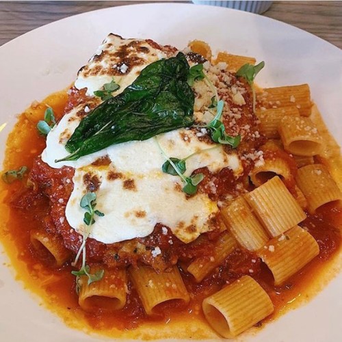 A plate of rigatoni pasta topped with marinara sauce, melted cheese, and a fresh basil leaf.