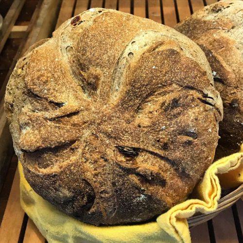 Freshly baked round bread with a textured crust, resting on a yellow cloth.