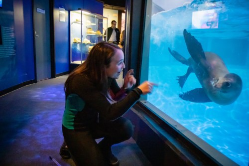 A woman in a wetsuit interacts with a seal through an aquarium glass, smiling and pointing excitedly.