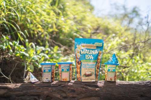A variety of Mauna Loa macadamia nut products displayed on a log, surrounded by greenery.
