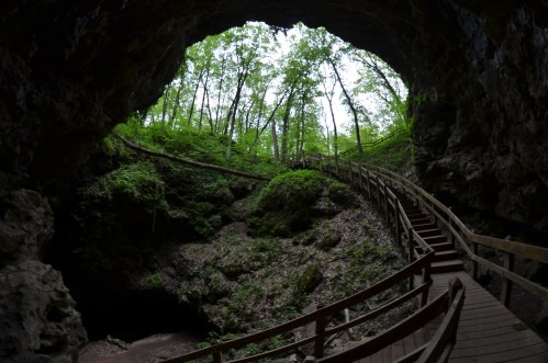 A wooden walkway leads through a lush, green cave entrance surrounded by rocky walls and trees.