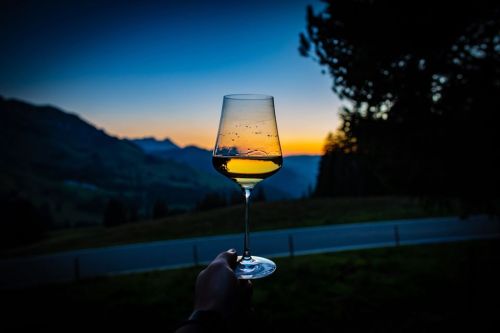 A hand holds a wine glass against a sunset backdrop, with mountains and trees silhouetted in the distance.