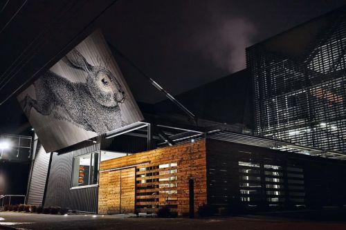 A large rabbit mural on a building's exterior at night, with modern architecture and wooden accents visible.