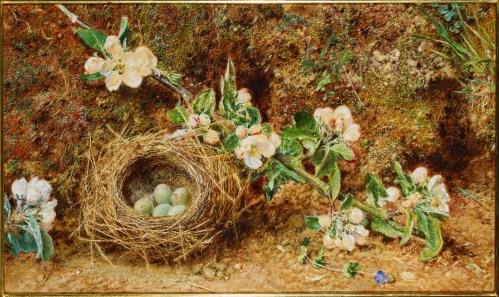 A nest with speckled eggs surrounded by blooming flowers and lush greenery.