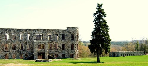 Ruins of a stone building beside a tall evergreen tree, set in a grassy landscape with trees in the background.