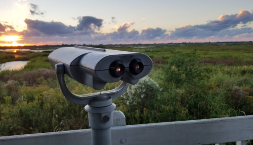A binocular viewer on a platform overlooking a scenic sunset over a marshland.
