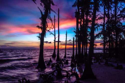 Silhouetted trees by the water against a vibrant sunset with colorful clouds reflecting on the surface.