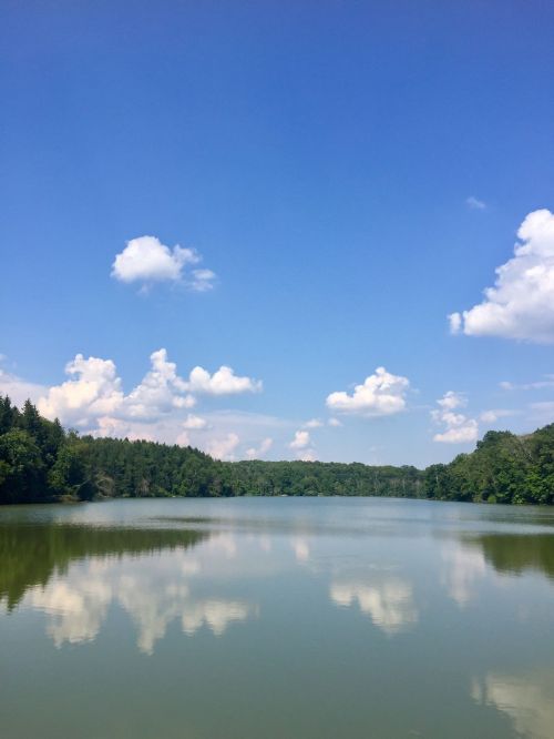 A serene lake reflecting a blue sky with fluffy clouds, surrounded by lush green trees.