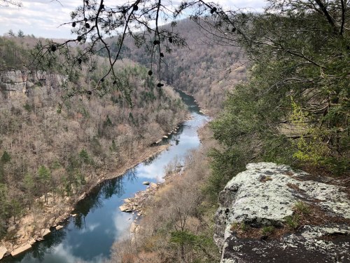 A serene river winds through a wooded valley, viewed from a rocky cliff with trees overhead.