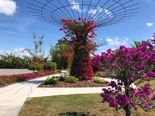 A vibrant garden featuring colorful bougainvillea, lush greenery, and a blue sky with scattered clouds.