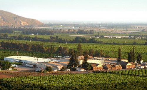 Aerial view of a rural landscape featuring vineyards, buildings, and rolling hills in the background.
