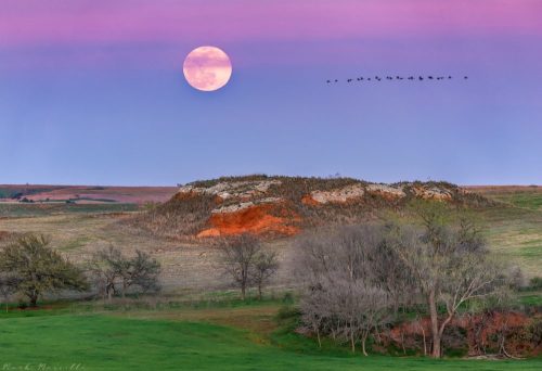 A full moon rises over a colorful landscape with a hill, trees, and a flock of birds flying in the sky.