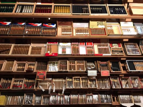 A wooden display shelf filled with various boxes of cigars, showcasing a wide range of brands and styles.