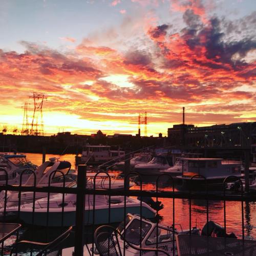 A vibrant sunset over a marina, with boats docked and colorful clouds reflecting in the water.