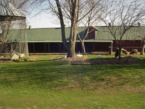 A rural scene featuring a barn with a green roof, trees, and a grassy area, with some animals in the background.