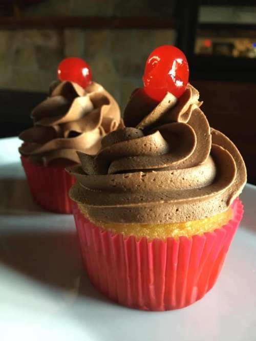 Two chocolate frosted cupcakes with red cherries on top, placed on a white plate with a blurred background.