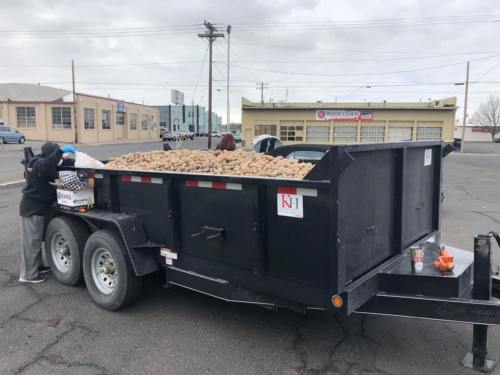 A person loading a trailer filled with potatoes in a parking lot, with buildings and power lines in the background.