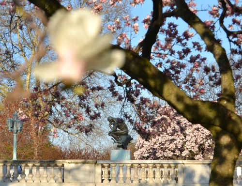 A blurred flower branch in the foreground with a statue visible among blooming trees in the background.