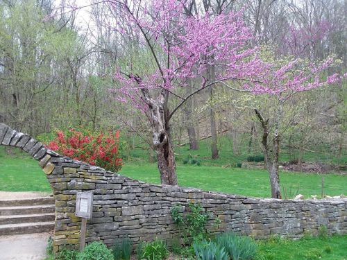 A stone wall curves along a path, with blooming pink trees and green foliage in a serene landscape.