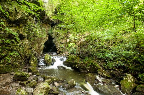 A serene forest scene featuring a rocky stream flowing through lush greenery and a cave entrance in the background.