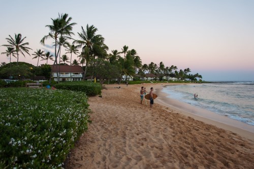 Two people on a sandy beach near palm trees, with gentle waves and a pastel sky at dusk.
