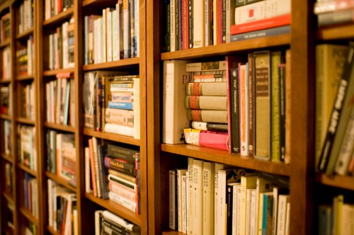 A wooden bookshelf filled with various books, showcasing a mix of colors and sizes.