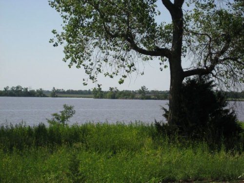 A serene view of a lake surrounded by greenery and trees under a clear blue sky.