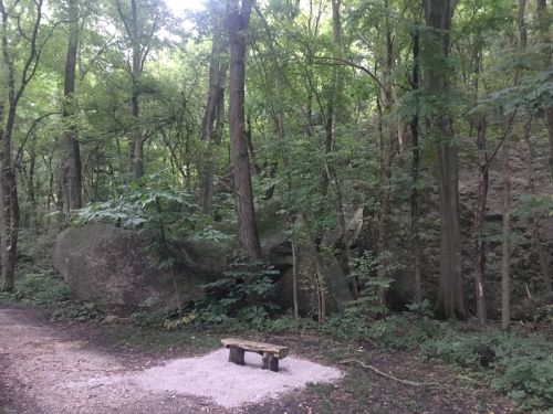 A wooden bench on a gravel patch surrounded by dense green trees and large boulders in a forested area.