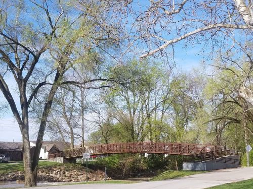 A wooden bridge arches over a small creek, surrounded by trees and a clear blue sky.