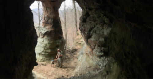 A person stands with a dog inside a rocky cave, surrounded by trees and a mountainous landscape in the background.