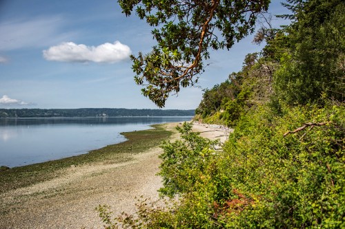 A serene shoreline with a rocky beach, surrounded by lush greenery and calm water under a blue sky with clouds.