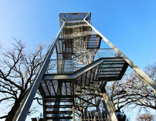 A tall, metallic spiral staircase against a clear blue sky, surrounded by bare trees.