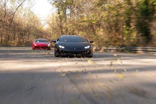 Two sports cars racing on a winding road, with autumn leaves swirling around them in a vibrant, wooded setting.