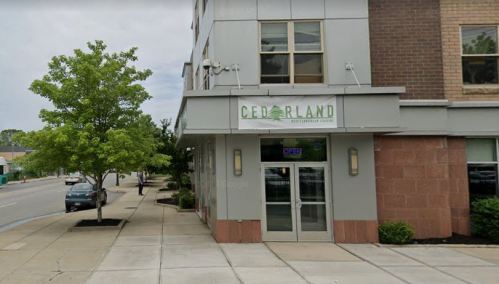 Exterior view of Cedarland Mediterranean Grill, featuring a green sign and an open door, with trees and sidewalk nearby.