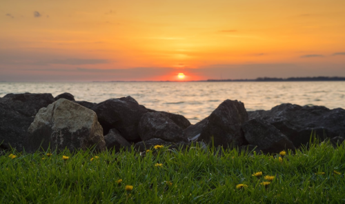 A serene sunset over water, with rocks in the foreground and green grass dotted with yellow flowers.