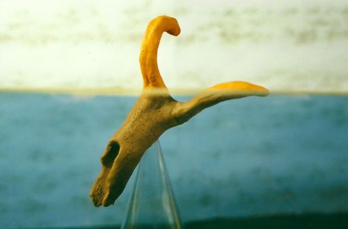 A unique, abstract sculpture resembling a deer antler, displayed against a blurred background.