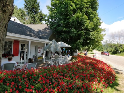 A charming café with outdoor seating surrounded by vibrant red flowers on a sunny day.