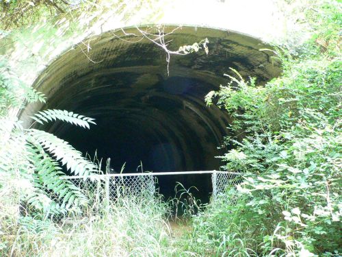 A dark tunnel entrance surrounded by overgrown vegetation and a chain-link fence in a wooded area.