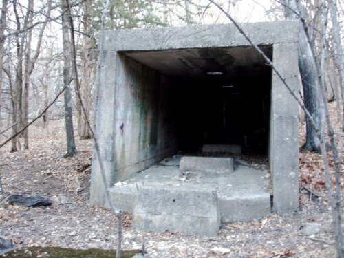 A dark, abandoned concrete tunnel surrounded by trees and fallen leaves, with steps leading inside.