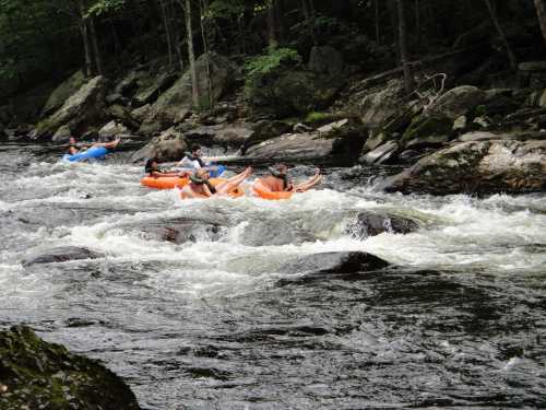 People floating on orange and blue inner tubes in a rocky river surrounded by trees.