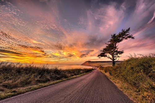 A winding road leads to a vibrant sunset over the ocean, with a lone tree silhouetted against the colorful sky.