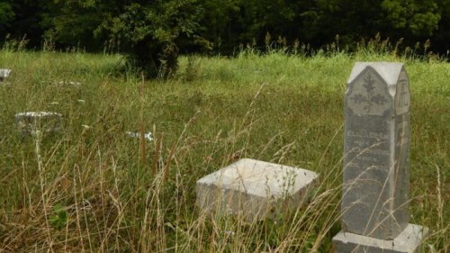 Overgrown cemetery with weathered gravestones surrounded by tall grass and trees in the background.
