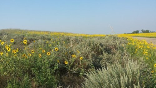 Most Beautiful Places In Kansas: 9 Must-See Spots