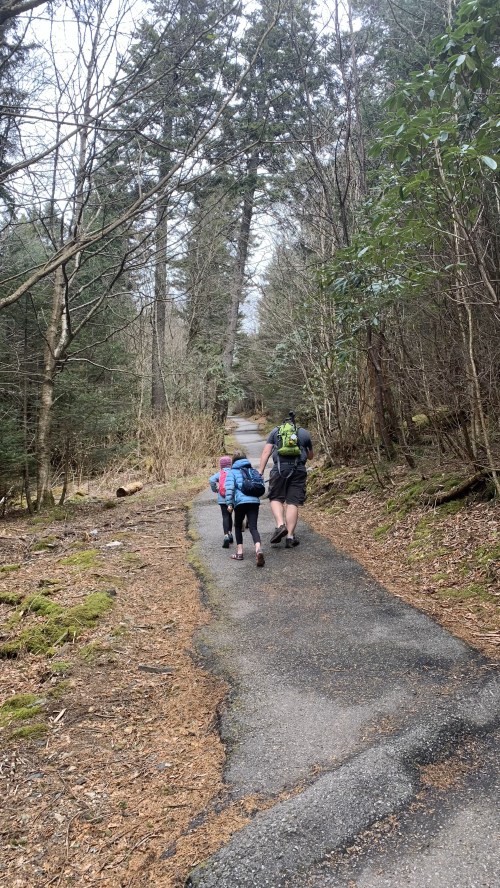 Two hikers walk along a forested path, surrounded by trees and greenery, heading into the distance.