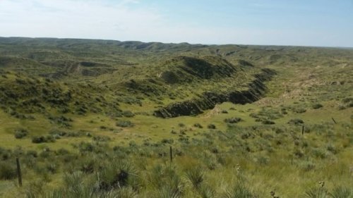 A vast, grassy landscape with rolling hills and gentle slopes under a clear blue sky.