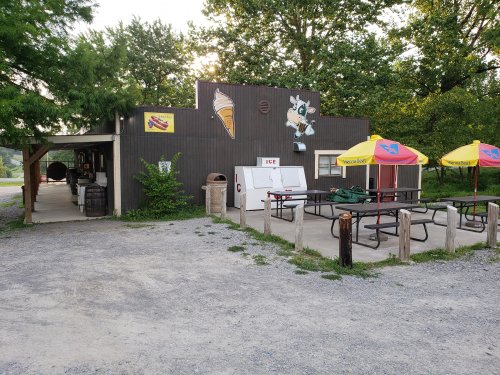 A small ice cream stand with picnic tables outside, surrounded by trees and featuring a cow mural on the wall.
