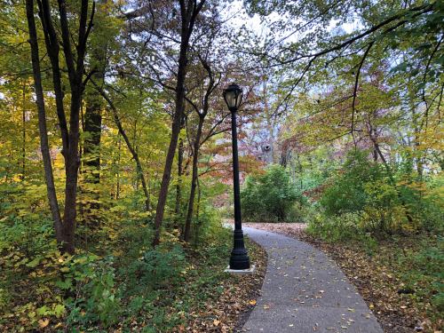 A winding path through a colorful autumn forest, lined with trees and a vintage lamp post.